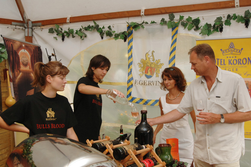 Bikavér Ünnep fotó