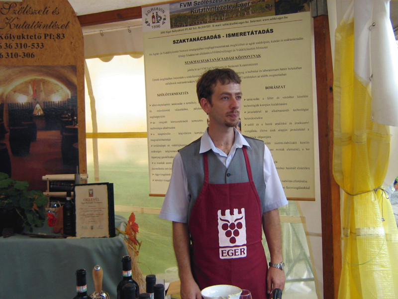 Bikavér Ünnep fotó