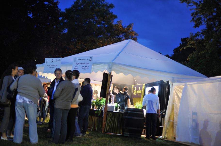 Bikavér Ünnep 2014 fotó