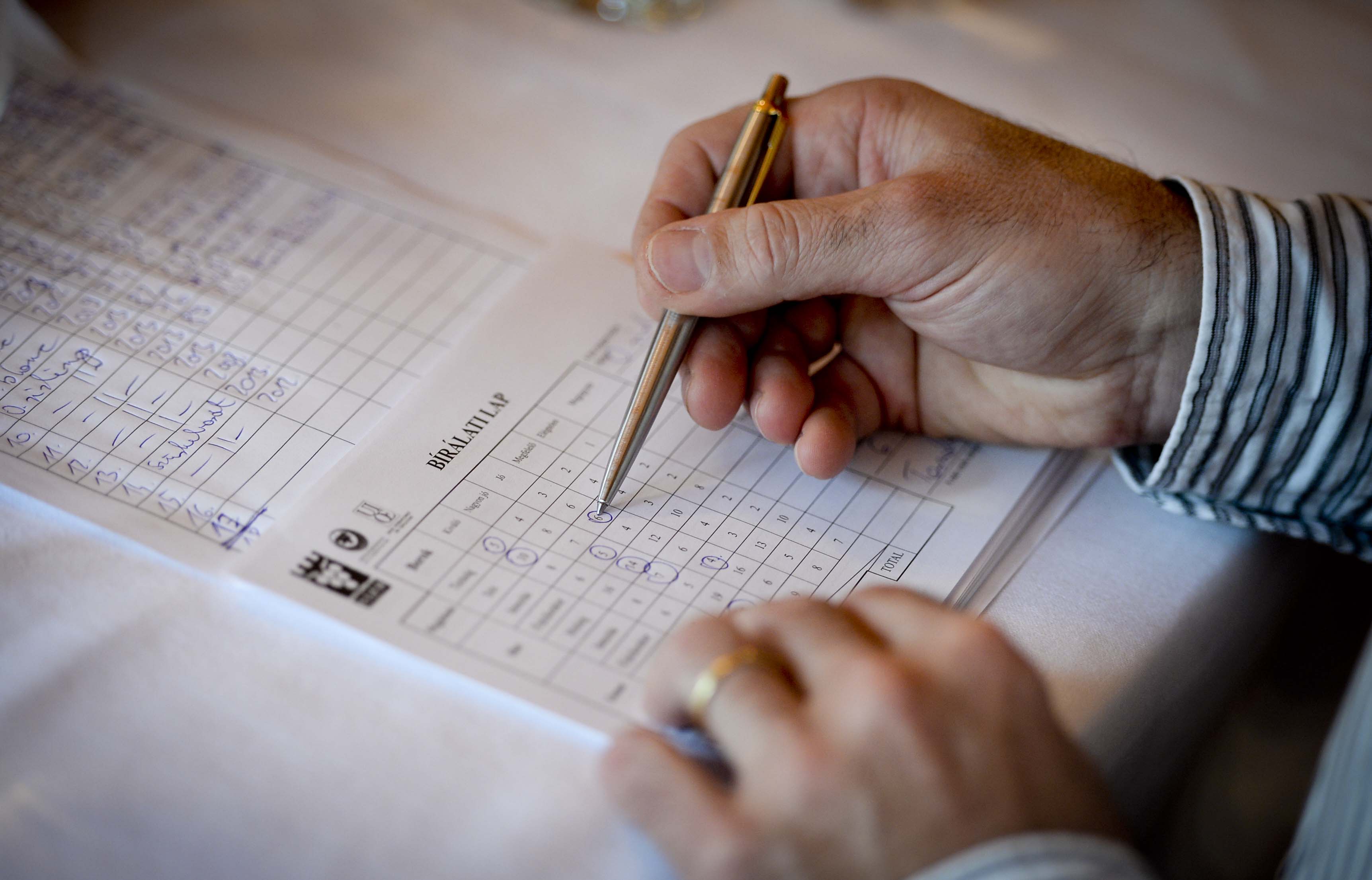 Borverseny 2014 fotó