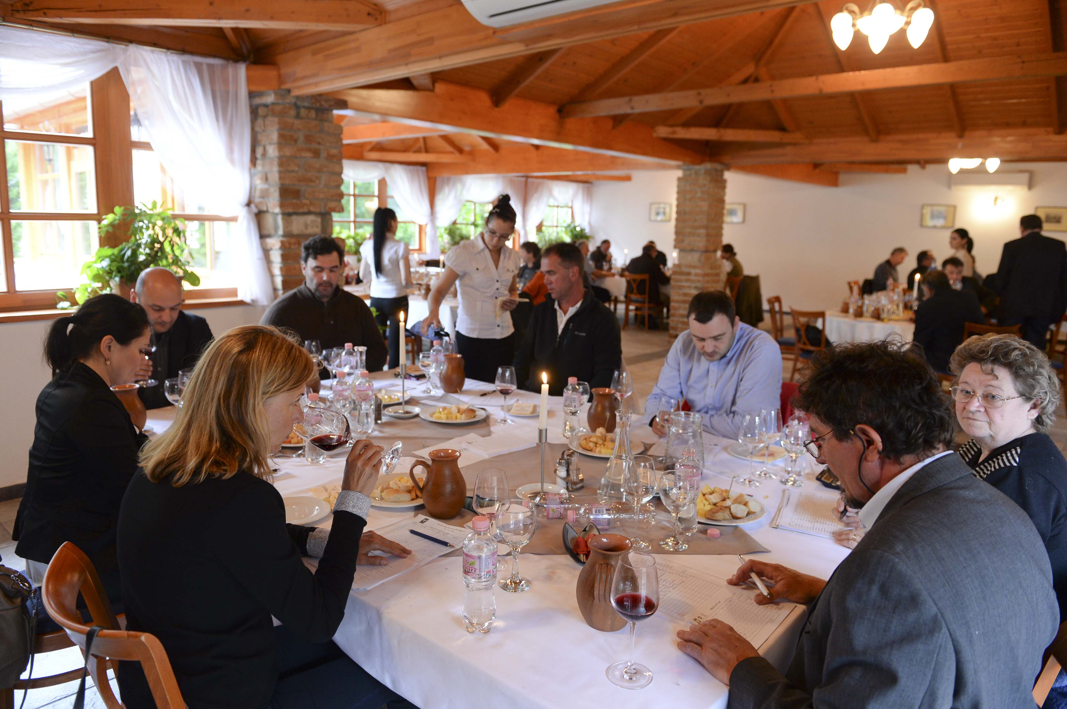 Borverseny 2014 fotó