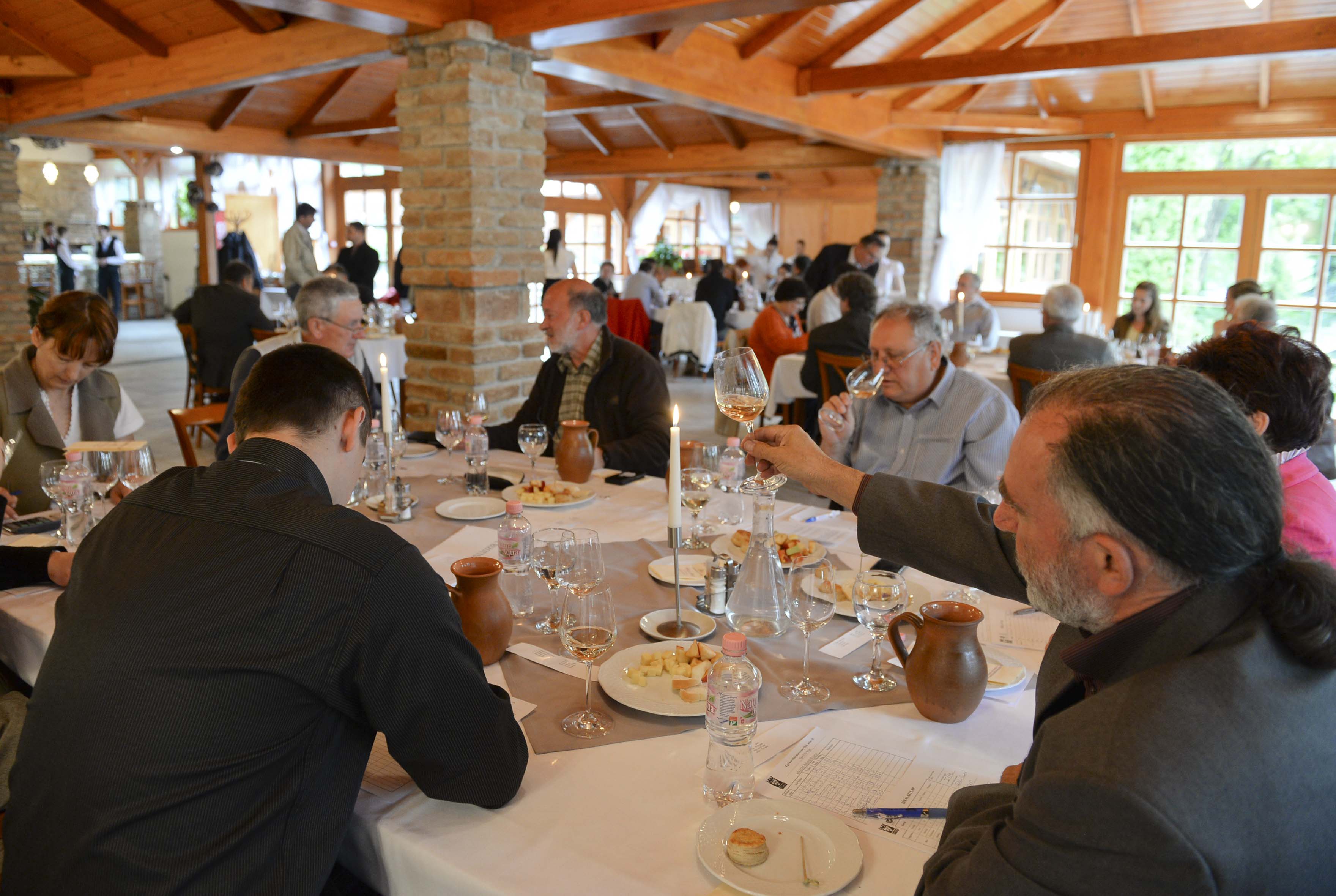 Borverseny 2014 fotó