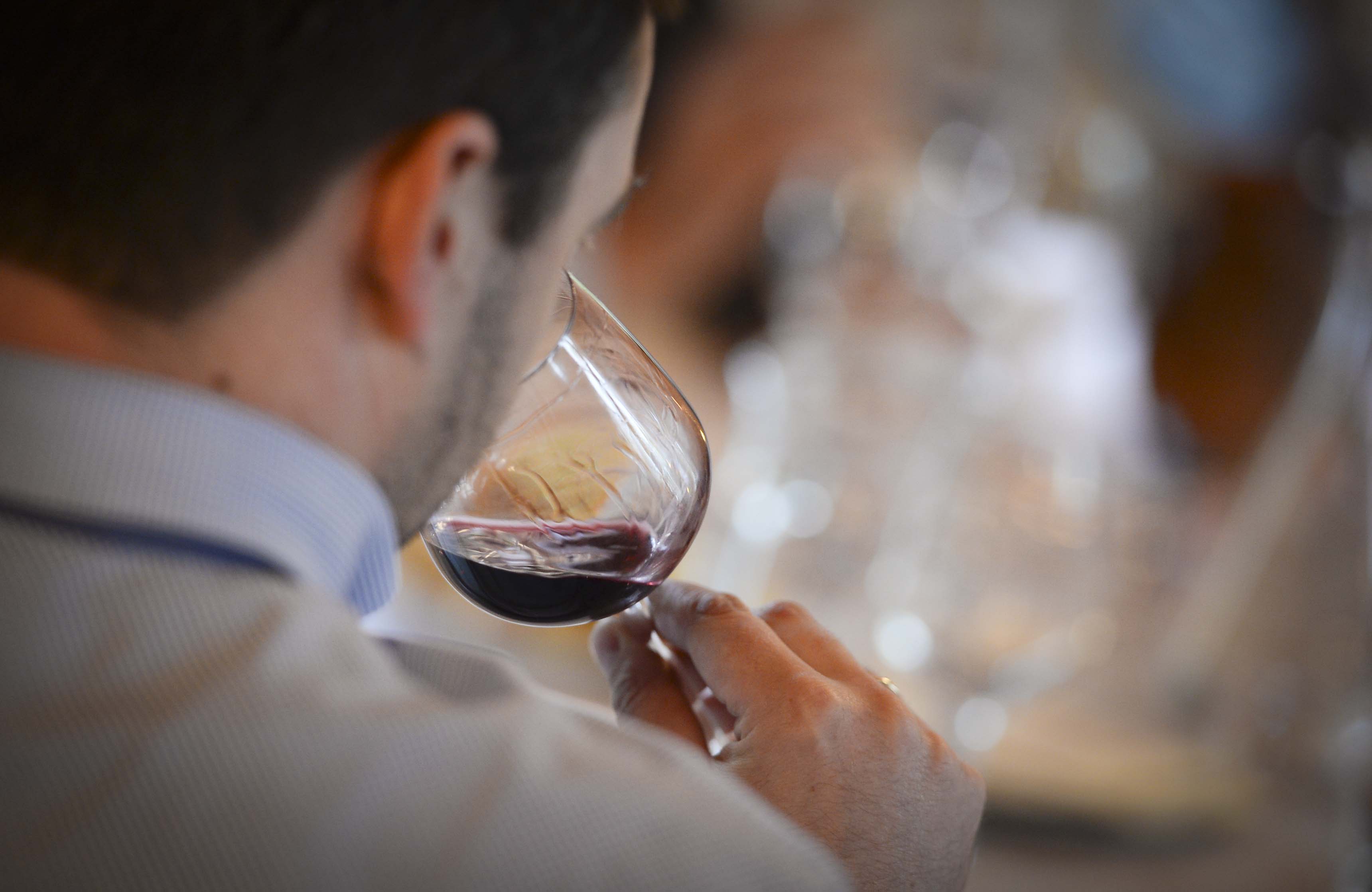 Borverseny 2014 fotó