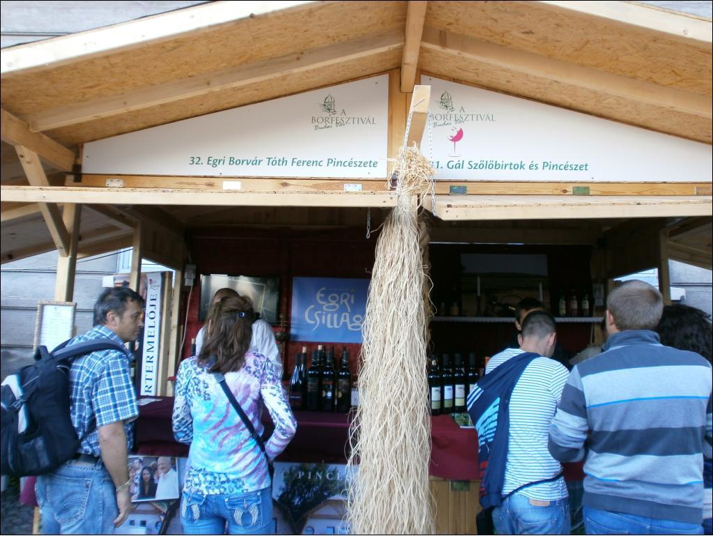 Budai Borfesztivál 2013. 09. 11.
