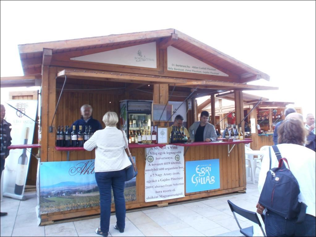 Budai Borfesztivál 2013. 09. 11. fotó