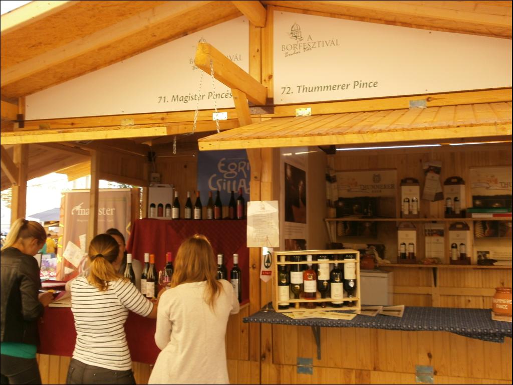 Budai Borfesztivál 2013. 09. 11. fotó