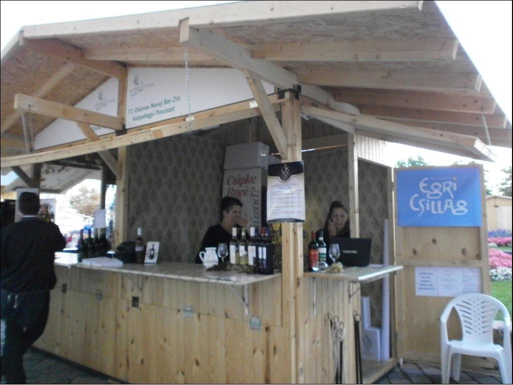 Budai Borfesztivál 2013. 09. 11. fotó